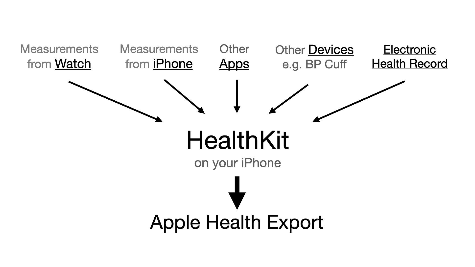 data going from devices into Apple Health Kit and then to Health Export