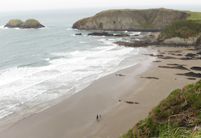 beach scene by the coast path