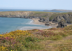 view of South West Coast Path
